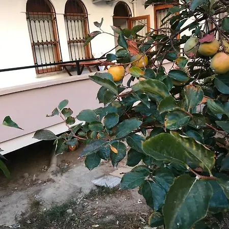 Apartment Daire Alanya